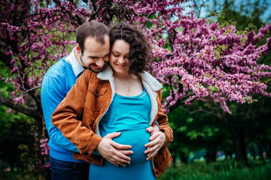Couple cuddling under blooming pink spring blossoms in Donau Park.